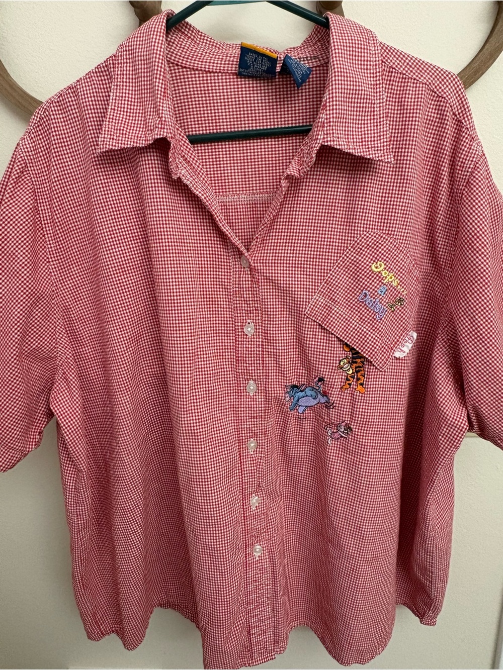 Disney Red and White Gingham Short-Sleeve Button-Down Shirt